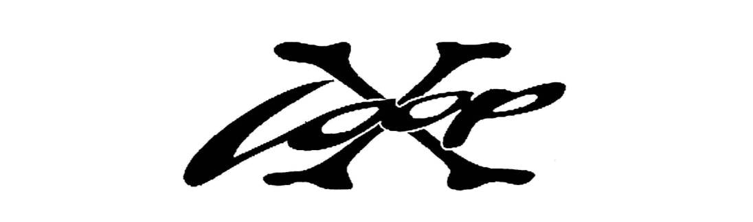 XLOOP Sunglasses Wholesale – D&B Pashmina